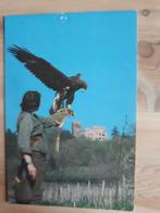 KINTZHEIM (Bas-Rhin - Alsace), Envoi, Non affranchie, France