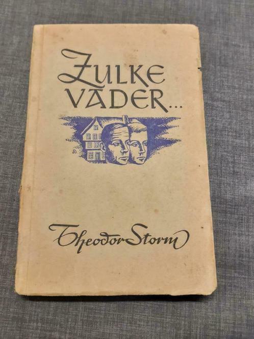 Zulke vader – Theodor Storm, Livres, Littérature, Utilisé, Belgique, Enlèvement ou Envoi