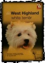 De West Highland white terriër