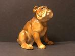 HUTSCHENREUTHER Chien Bouledogue, Antiquités & Art, Antiquités | Porcelaine, Enlèvement ou Envoi