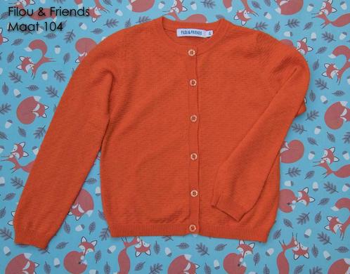 Cardigan Filou & Friends oranje - Maat 104, Enfants & Bébés, Vêtements enfant | Taille 104, Utilisé, Fille, Pull ou Veste, Enlèvement ou Envoi