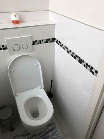 Renovatie-installatie voor verwarming/sanitair 0472/26.55.40 beschikbaar voor biedingen