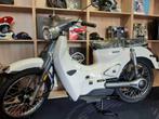 Motron Cubertino (Retro Classic 100% electric)