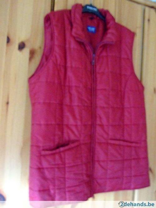 Gematelasseerde Bodywarmer, Kleding | Dames, Jassen | Winter, Gedragen, Ophalen of Verzenden
