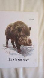 la vie sauvage - Album Chromos Vignettes Delhaize, Enlèvement ou Envoi, Neuf