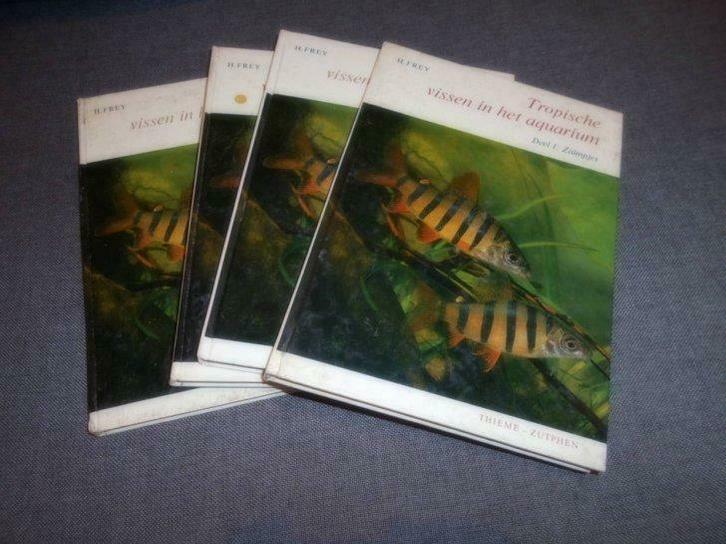 Tropische vissen in het aquarium, Boeken, Dieren en Huisdieren, Gelezen, Vissen, Ophalen of Verzenden