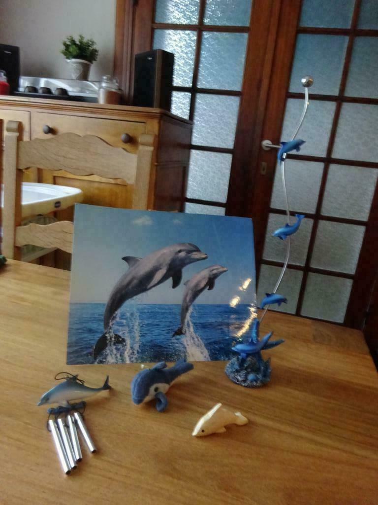 Décorations motifs dauphins, Enlèvement ou Envoi, Utilisé