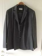 Grijs kostum vest + rok, Mayerline, maat 46, Kleding | Dames, Ophalen of Verzenden, Maat 46/48 (XL) of groter, Grijs