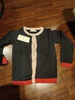 gilet maat 116 meisje nieuwstaat, Ophalen of Verzenden, Nieuw, Meisje