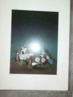 Prenten, Enlèvement, Comme neuf, Autres sujets/thèmes, Gravure