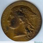 Bronzen Medaille Ministère de l' Agriculture, Antiquités & Art