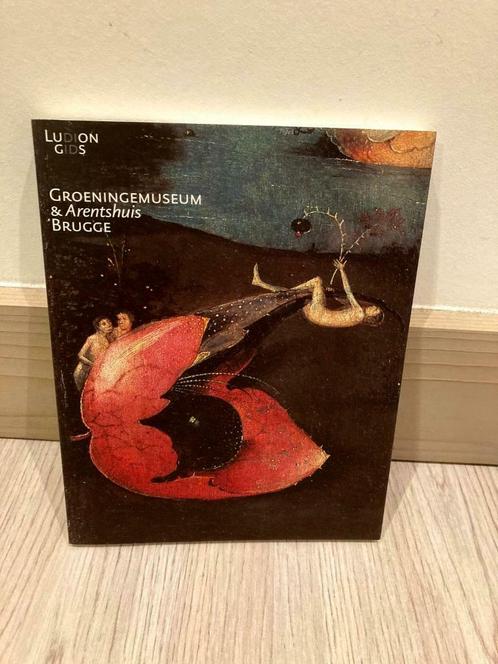 Het groeningenmuseum, Boeken, Kunst en Cultuur | Beeldend, Nieuw, Ophalen of Verzenden