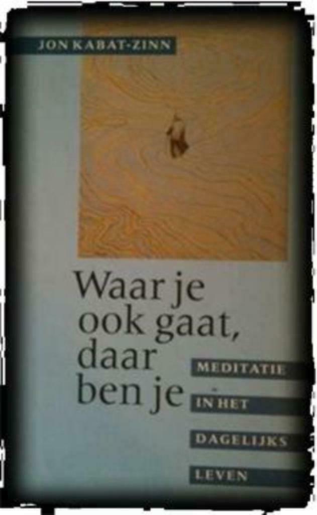 Waar je ook gaat, daar ben je, Jon Kabat-Zinn, Boeken, Psychologie, Gelezen, Ophalen of Verzenden