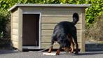Niche Rott XXXL niche XXL niche geante abri chien niche XXXL