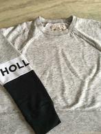 Splinternieuwe sweater "Hollister", Taille 36 (S), Hollister, Enlèvement ou Envoi, Gris