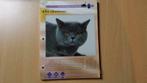 Passion des chats - 60 Maxi-Fiches - Editions Atlas, Collections, Collections Autre, Enlèvement ou Envoi, Neuf