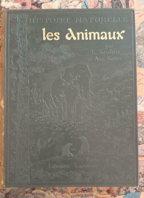 1923 animaux, invertébrés vertébrés. Joubin Robin Larousse, Livres, Animaux & Animaux domestiques, Enlèvement ou Envoi