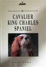 De Cavalier King Charles Spaniel, Ken Town