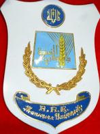 médaille d'honneur jeton Université MANSOURA Egypte émaillée, Enlèvement ou Envoi