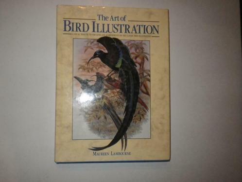 L'art de l'illustration des oiseaux, Livres, Art & Culture | Arts plastiques, Comme neuf, Peinture et dessin, Enlèvement