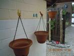 10 suspensions pot, Ophalen of Verzenden