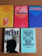 Hermann Hesse, Boeken, Ophalen of Verzenden, Gelezen, Hermann Hesse