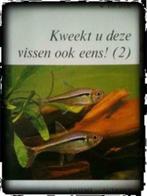Kweekt u deze vissen ook eens! Deel 2, W.Jocher, Boeken, Ophalen of Verzenden, Gelezen, Vissen