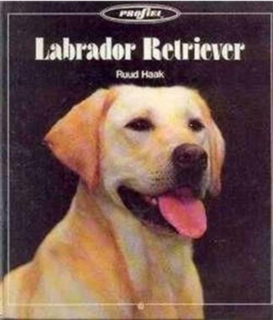 Labrador retriever, Ruud Haak, Ophalen of Verzenden, Gelezen, Honden
