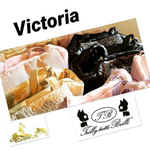 Victoria Cream : Small, Dieren en Toebehoren, Honden-accessoires, Nieuw, Ophalen of Verzenden