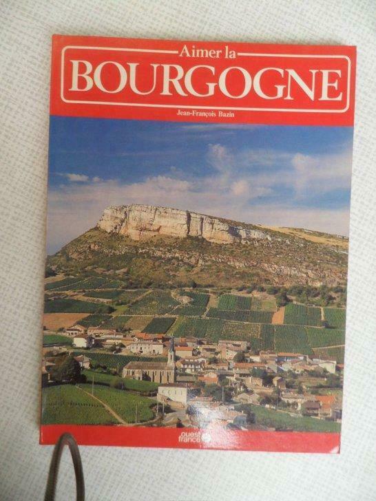 aimer la Bourgogne, Boeken, Reisgidsen, Nieuw, Ophalen of Verzenden