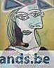 Picasso. Figur und Porträt, Boeken, Kunst en Cultuur | Architectuur, Gelezen, Ophalen of Verzenden