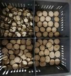 houten schijfjes voor bloemstukjes, knutselwerk, ..., Nieuw, Ophalen of Verzenden, Knutselwerk