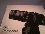 Gio Pomodoro sculptures 120pag 110ill, Boeken, Ophalen of Verzenden, Zo goed als nieuw, Beeldhouwkunst