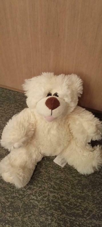 Schattige knuffelbeer beschikbaar voor biedingen