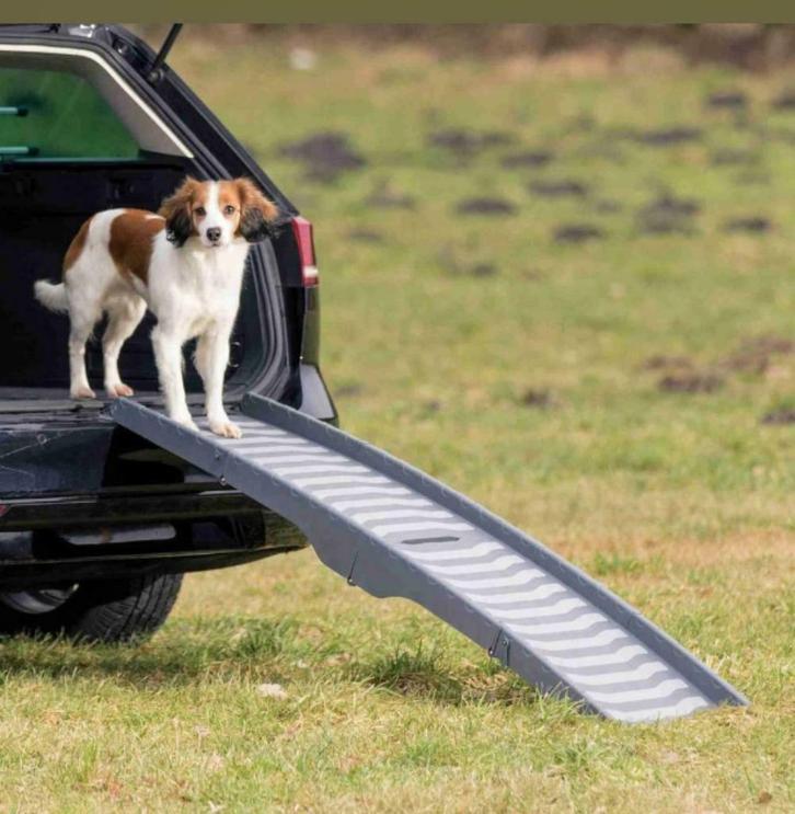 Rampe pour chien pliable, Animaux & Accessoires, Accessoires pour chiens, Neuf, Enlèvement