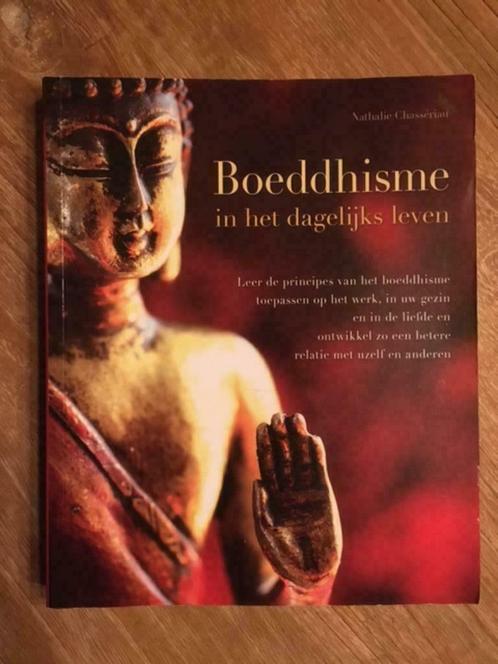 Nathalie Chassériau Boeddhisme in het dagelijkse leven, Boeken, Godsdienst en Theologie, Zo goed als nieuw, Boeddhisme, Ophalen of Verzenden