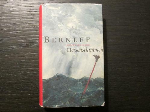 Hersenschimmen   -J. Bernlef-, Livres, Littérature, Enlèvement ou Envoi