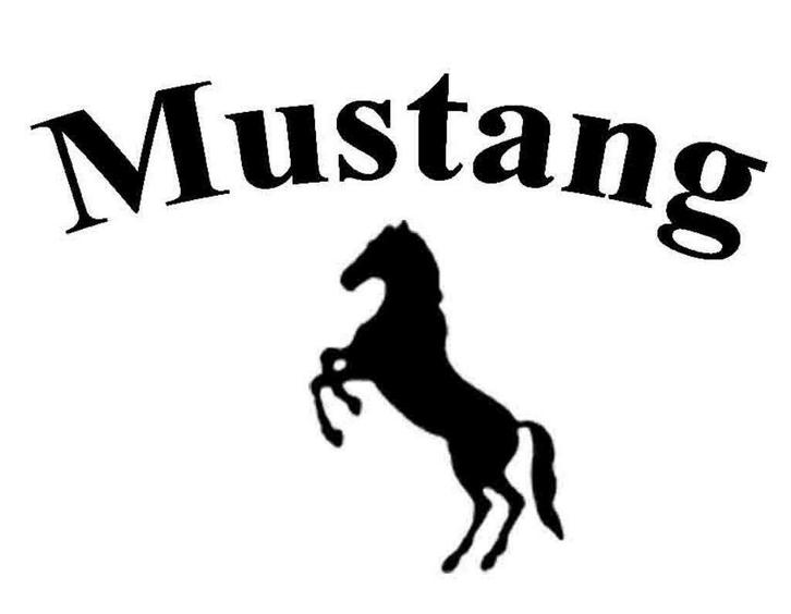 MustangSafes Kluizen&Brandkasten