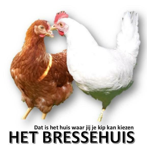 Het Bressehuis