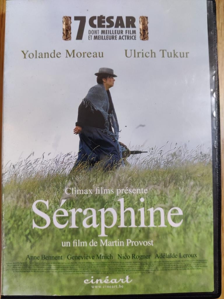 Séraphine (2008) (Yolande Moreau) DVD, Enlèvement ou Envoi, Comme neuf