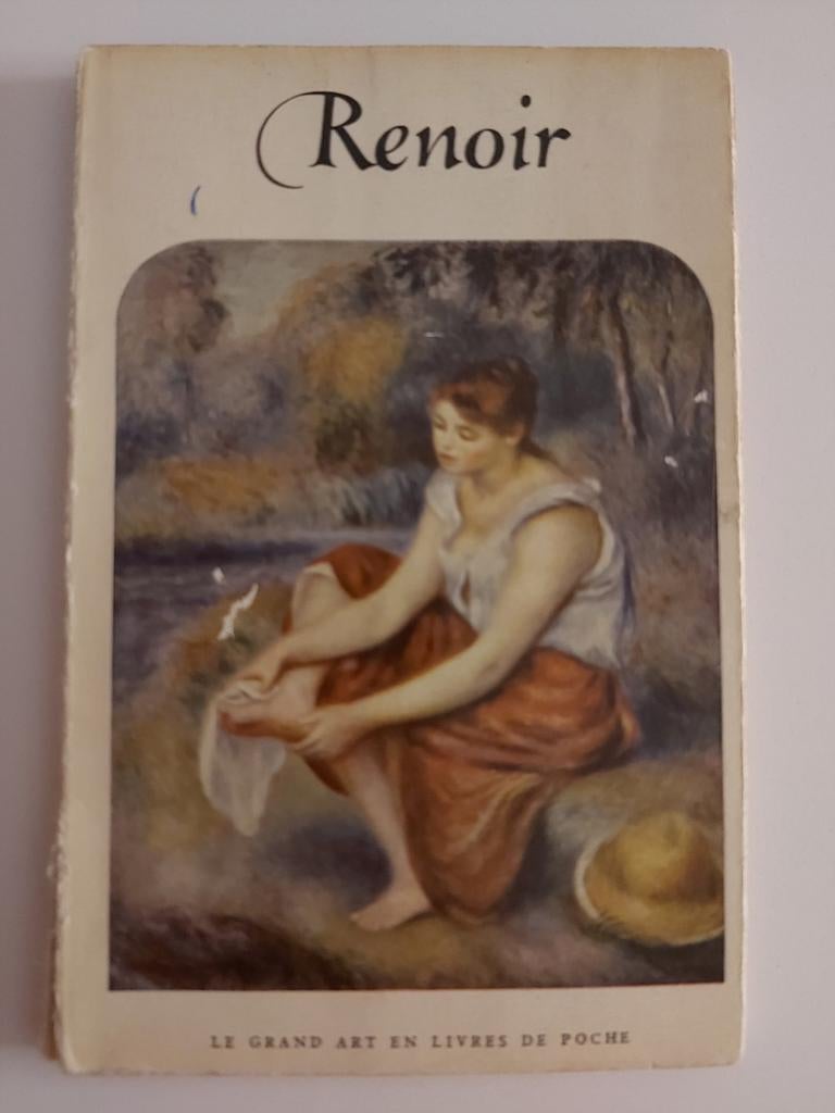 Renoir peintre, Enlèvement ou Envoi, Utilisé, Peinture et dessin, Jean-Louis Vaudoyer
