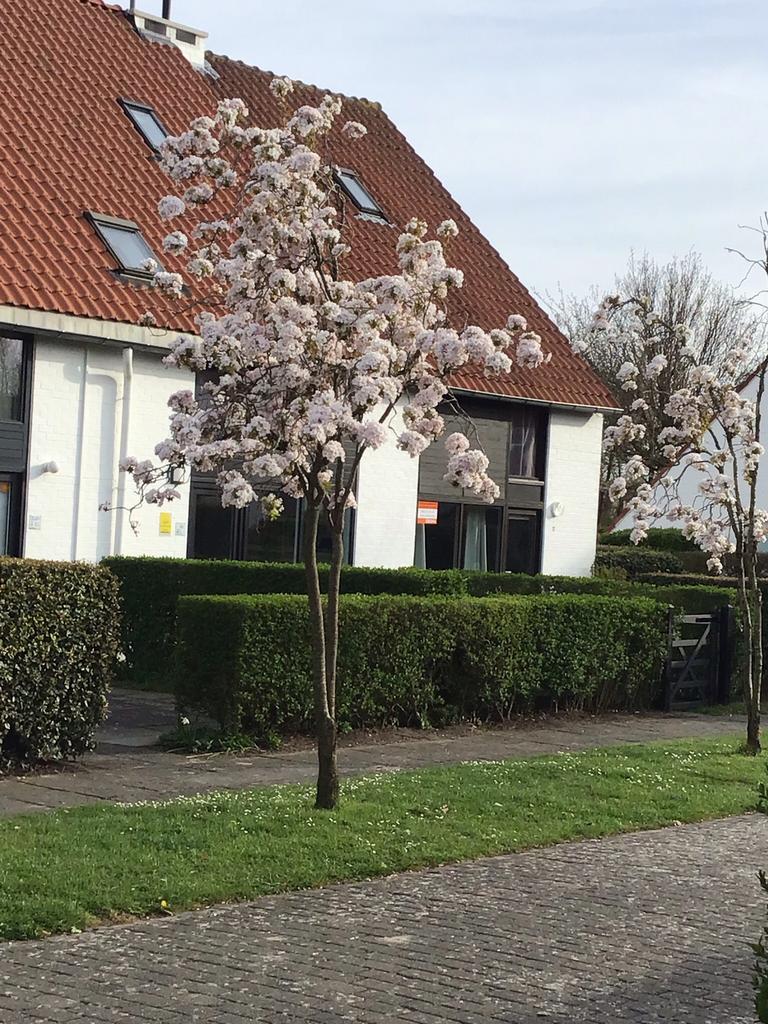 Ysermonde à Nieuport., Vacances, Propriétaire, Village, Maison de campagne ou Villa, 8 personnes