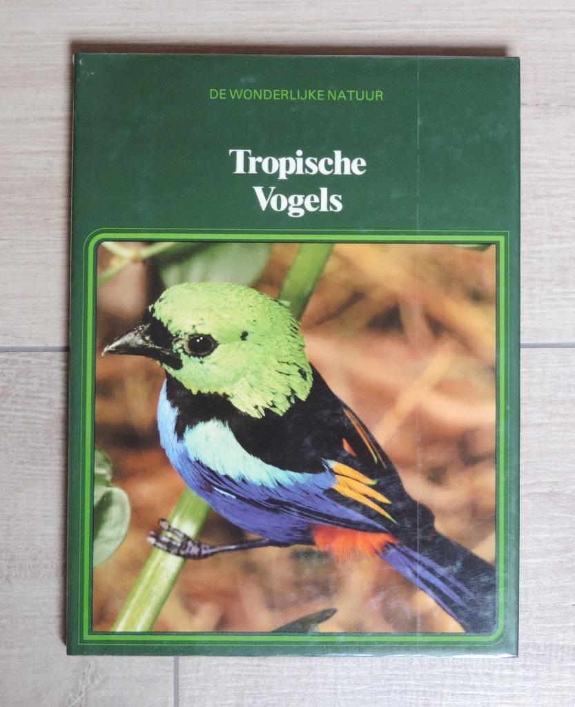 Tropische vogels, Boeken, Ophalen of Verzenden, Zo goed als nieuw, Vogels, Lecturama