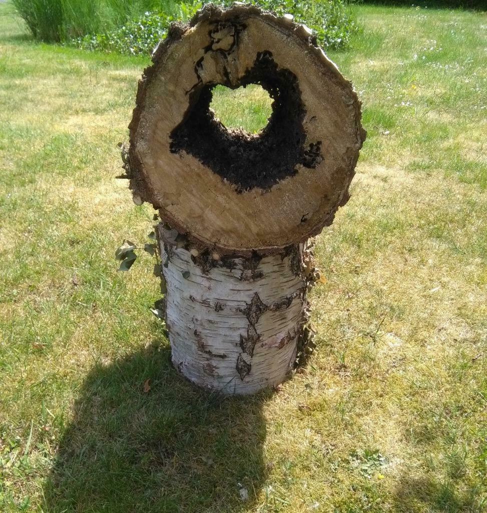 Voederhuisje puur natuur, Ophalen, Nieuw