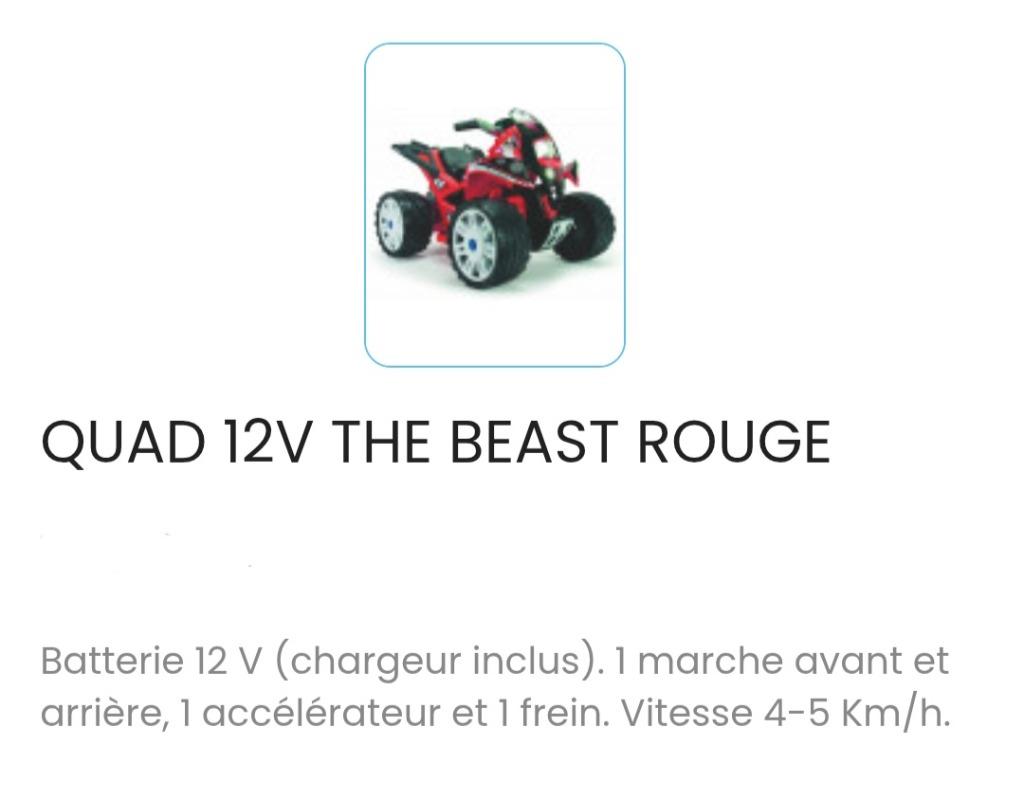 QUAD 12v, Enlèvement, Comme neuf, Autres marques