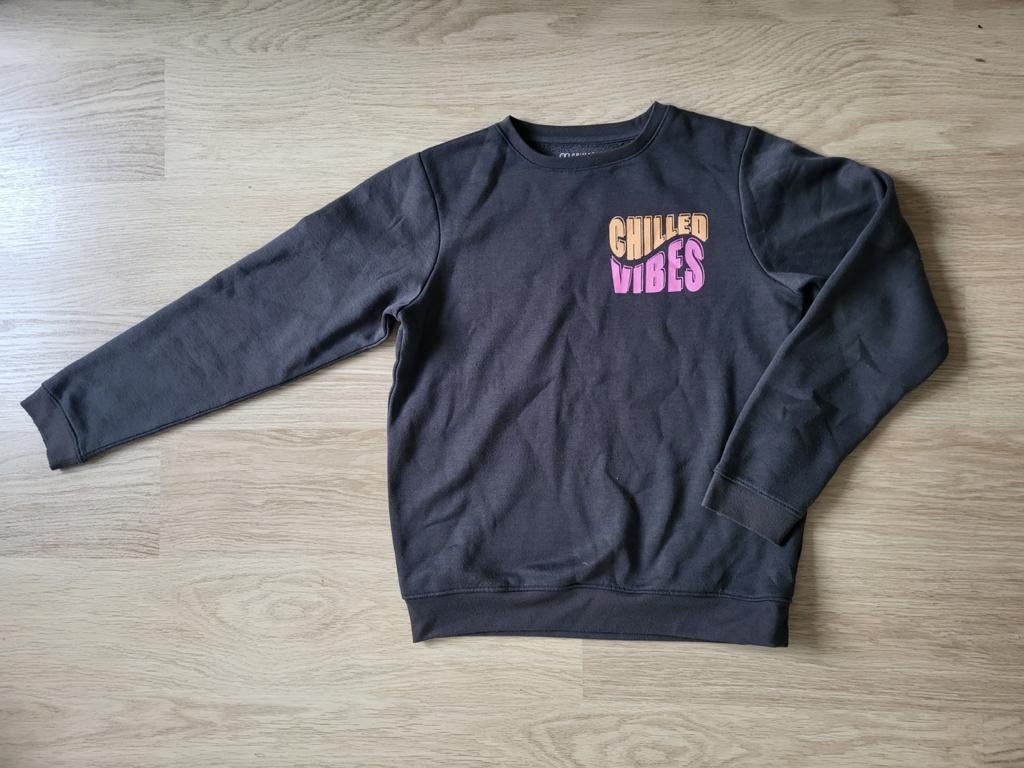 Donkergrijze sweater (maat 166), Ophalen of Verzenden, Gebruikt, Jongen of Meisje, Trui of Vest