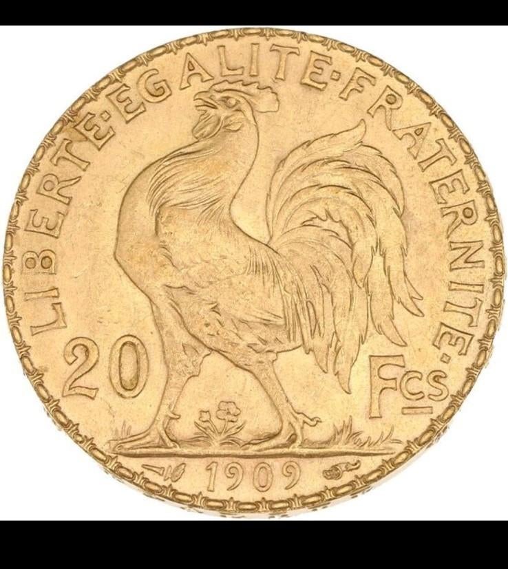 Coq marianne, Enlèvement