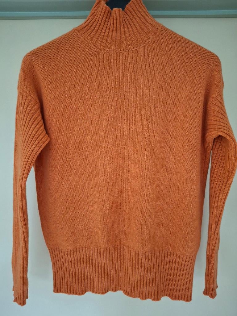 95 % Cashmere trui 'Rifo' Circular Fashion - maat 38, Kleding | Dames, Truien en Vesten, Ophalen of Verzenden, Zo goed als nieuw