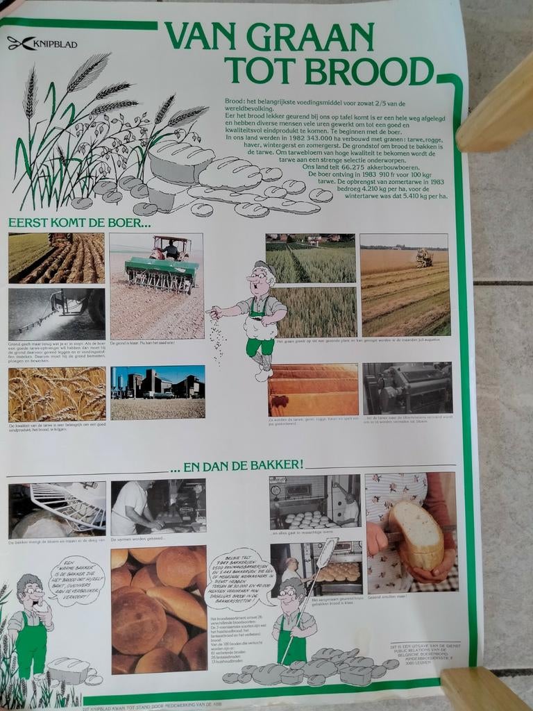 Poster 'van graan tot brood', Ophalen of Verzenden, Gebruikt
