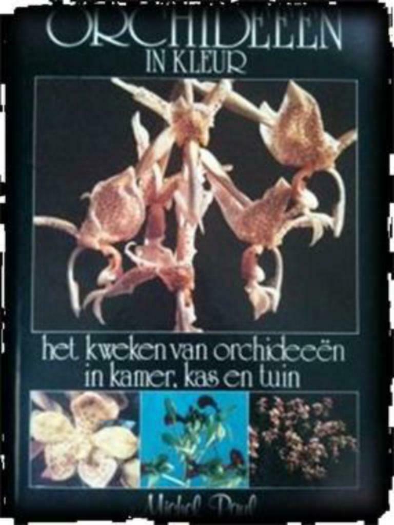 Orchideeen in kleur, Michel Paul, Enlèvement ou Envoi, Utilisé, Fleurs, Plantes et Arbres